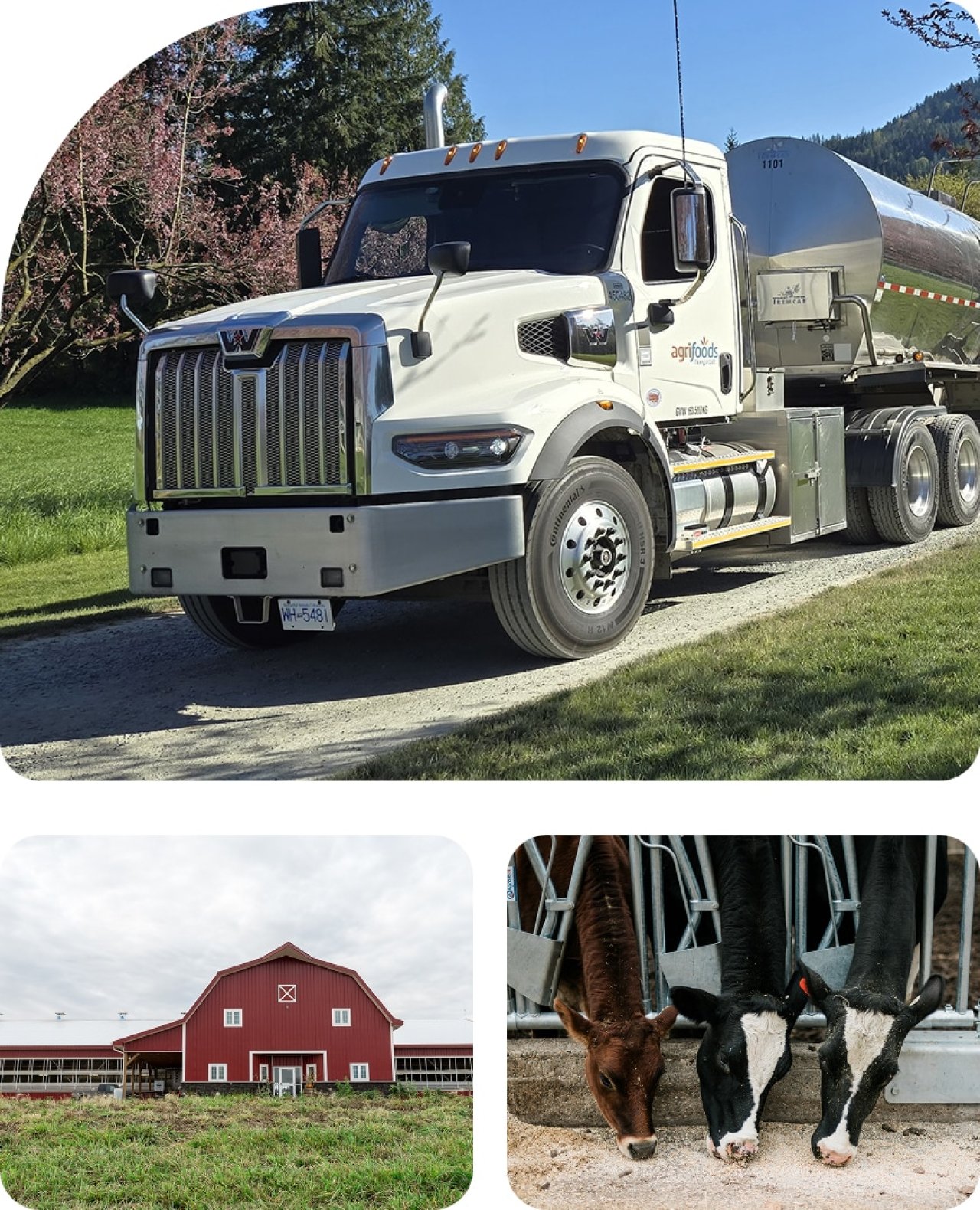 Agrifoods